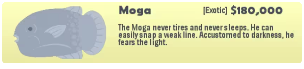 小猫钓鱼汉化版游戏攻略_鱼类图鉴_小猫钓鱼有船的版本下载