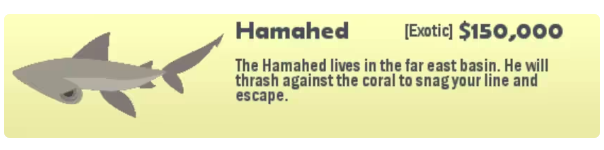 鱼类图鉴_小猫钓鱼有船的版本下载_小猫钓鱼汉化版游戏攻略