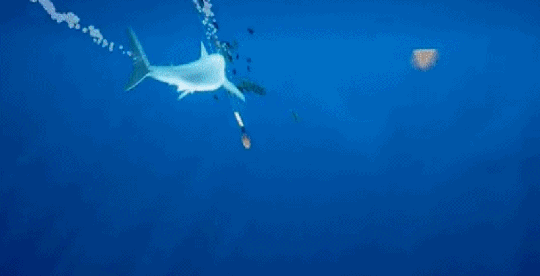 游戏国庆专题_手机游戏看风景推荐_国产游戏风景欣赏