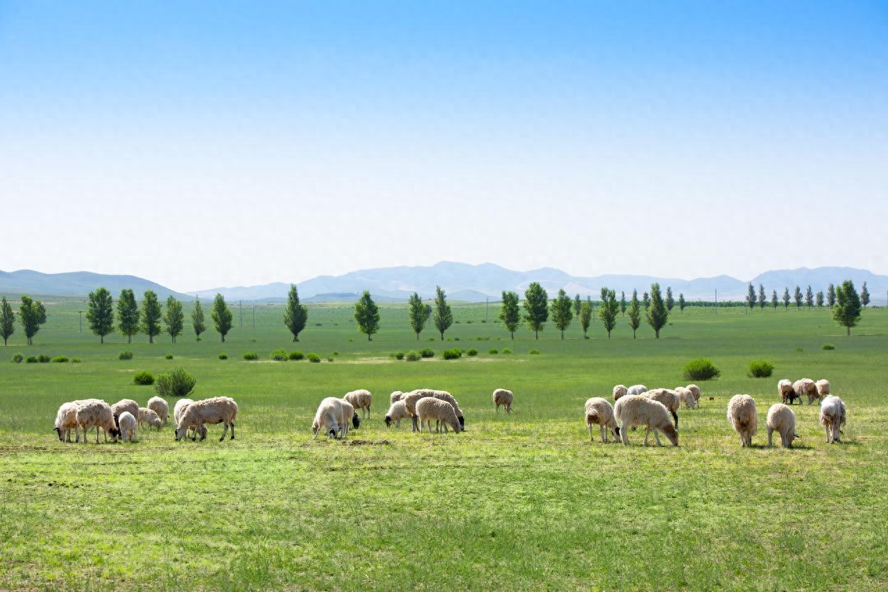 kiayun手机版登录 2025独立游戏封神榜：多款小众宝藏，玩过都说 “真香”！