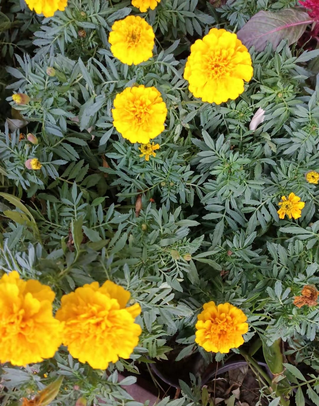 kiayun手机版登录app游戏登录入口.手机端安装.cc 一个异性和你断联后，又再度联系你其实就这一种可能蔡格尼克效应