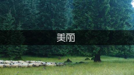 kiayun手机版登录app游戏登录入口.手机端安装.cc 美丽校园作文300字（通用5篇）