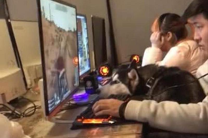 独立游戏专题_33号远征队 TGA提名 独立游戏创新