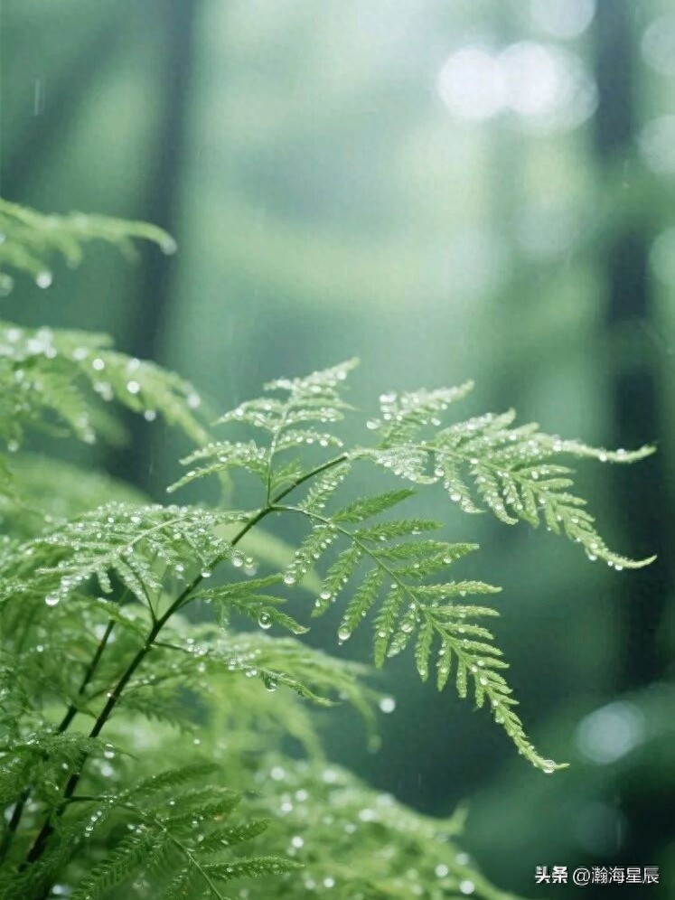 kiayun手机版登录打开即玩v1011.玩看我最新关网.中国 24句，短小精干的高情商句子，拿去发朋友圈，很飒