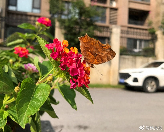 kiayun手机版登录app游戏登录入口.手机端安装.cc 想让男人着迷？有一个秘诀：蔡格尼克效应