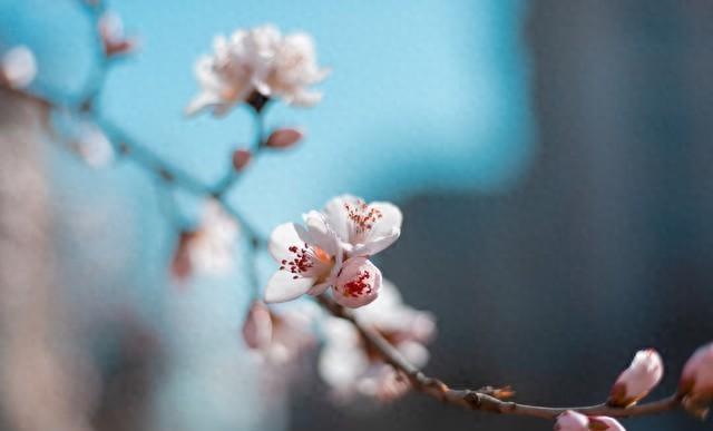 kiayun手机版登录打开即玩v1011.玩看我最新关网.中国 警醒！多少兄妹最后老死不相往来，不是因为穷，而是犯了这4个错