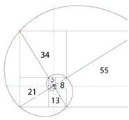 kia云手机版登录 短线交易的秘诀——斐波那契数列，数学界的“完美”公式！
