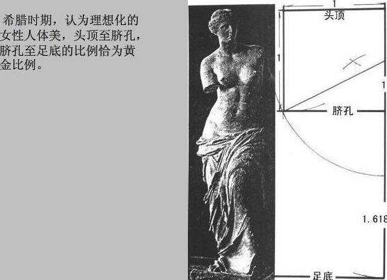 kiayun手机版登录打开即玩v1011.速装上线体验.中国 大道至简——浅说斐波那契数列