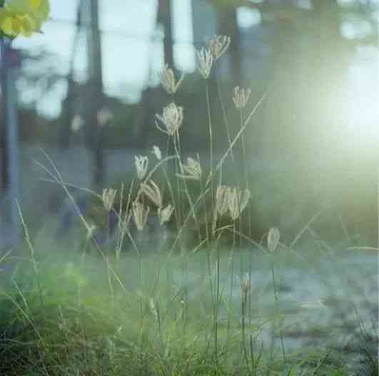 换个角度看问题_生活逆向思维应用故事_逆向思维小故事