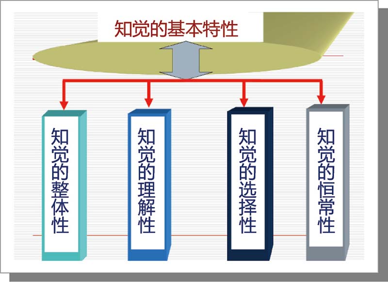 kia云手机版登录 二、感觉和知觉特性