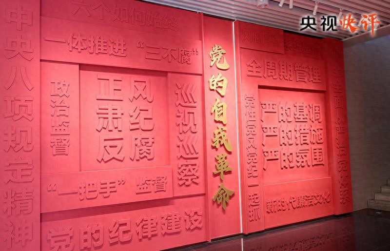 开·云体育app下载安装 央视快评丨以更高标准更实举措推进全面从严治党