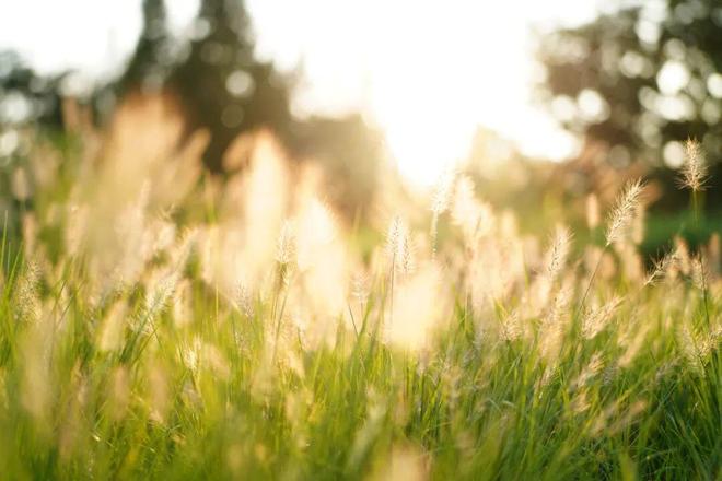 kiayun手机版登录入口 “精准教”与“高效学”的四重路径