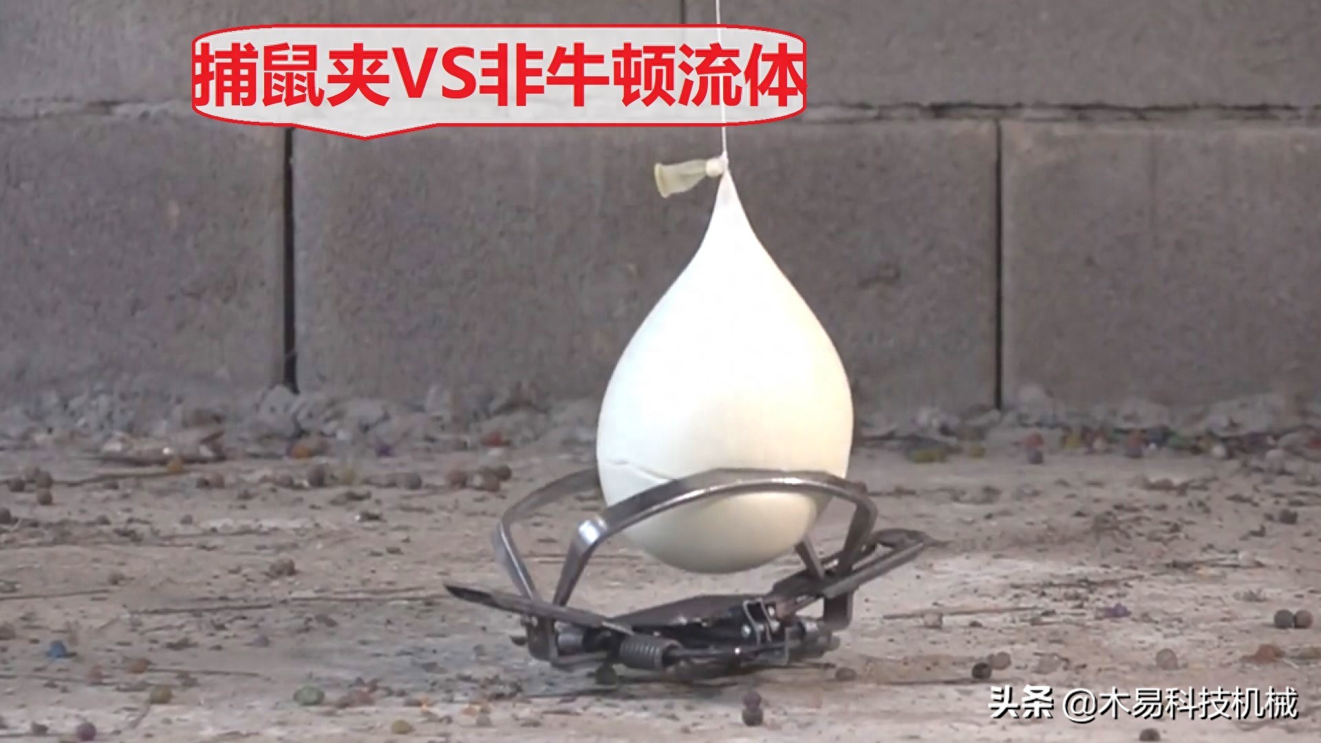 kiayun手机版登录打开即玩v1011.速装上线体验.中国 非牛顿流体有多强？捕鼠夹VS非牛顿流体，它能承受得住么