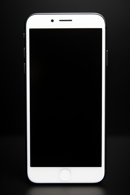 kiayun手机版登录下载 别再花钱买电子书！iPhone免费书库看遍全网书，合规不花一分钱