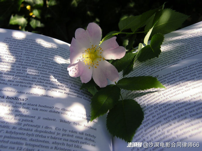 影视合同未付款违约责任_企业询证函法律性质认定_企业询证函的法律效力