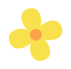 kiayun手机版登录打开即玩v1011.速装上线体验.中国 【课程资源】有趣的豆子