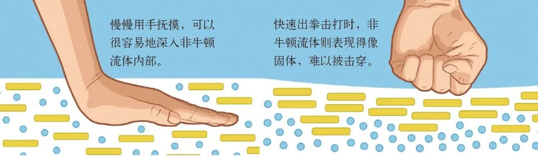 kiayun手机版登录app游戏登录入口.手机端安装.cc 非牛顿流体：你柔它也柔，你强它则刚