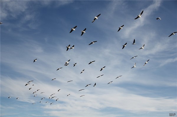 kiayun手机版登录app游戏登录入口.手机端安装.cc 让人感悟至深的短语，句句现实，读后领悟很多