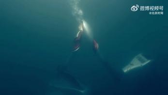 开·云体育app下载安装 日化用品、消防、汽车……航天技术的应用已经辐射这些领域