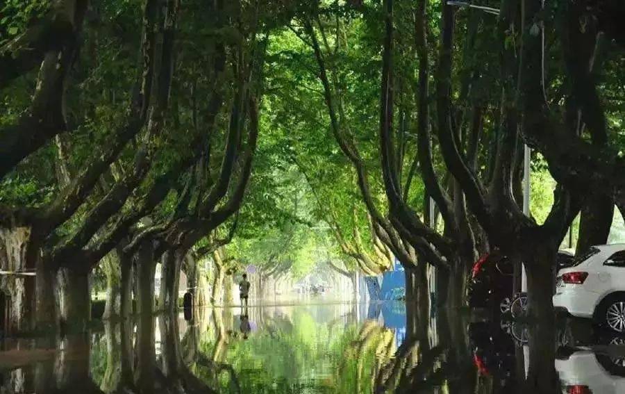 kiayun手机版登录入口 学长学姐揭秘：高中学科和大学专业如何遥相呼应？对应学科怎么选专业？