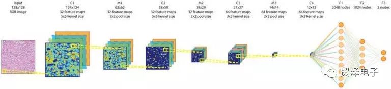 解析卷积神经网络的应用