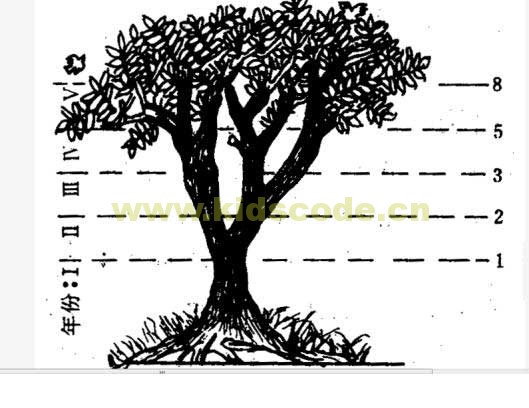 kiayun手机版登录下载 [scratch2.0数学应用]实现美丽的斐波那契数列