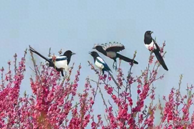 kiayun手机版登录app游戏登录入口.手机端安装.cc 真正爱你的人，早就偷偷向你投降了