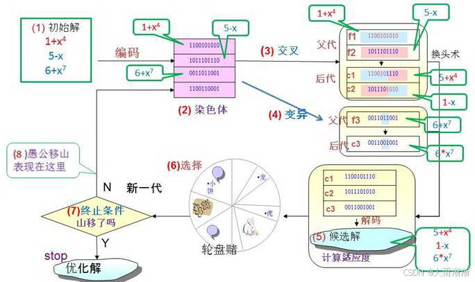 开·云体育app下载安装 【智能算法】遗传算法全解析